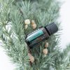 Balance olajkeverék 15 ml - doTERRA