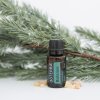 Balance olajkeverék 15 ml - doTERRA