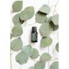 Balance olajkeverék 15 ml - doTERRA