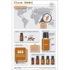 Doterra Szegfűszeg illóolaj - clove 15ml