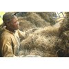 vetiver sourcing 1050x693 eu