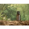 Doterra Vörös cédrus (Cedarwood) illóolaj 15 ml
