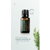 Cypress 15mL Essential Oils TGA Social Media AU NZ English Instagram Story 9x16 1