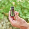 doterra terrashield 15ml illóolaj keverék