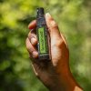 doterra terrashield spray 30 ml