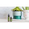 doterra terrashield spray 30 ml