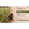 Doterra duglász fenyő douglas fir