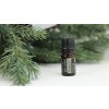 Doterra duglász fenyő douglas fir