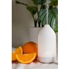Laliz diffuser párologtató és citrus bliss