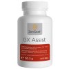 gx assist large 680x1350px eu