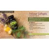 doterra triease