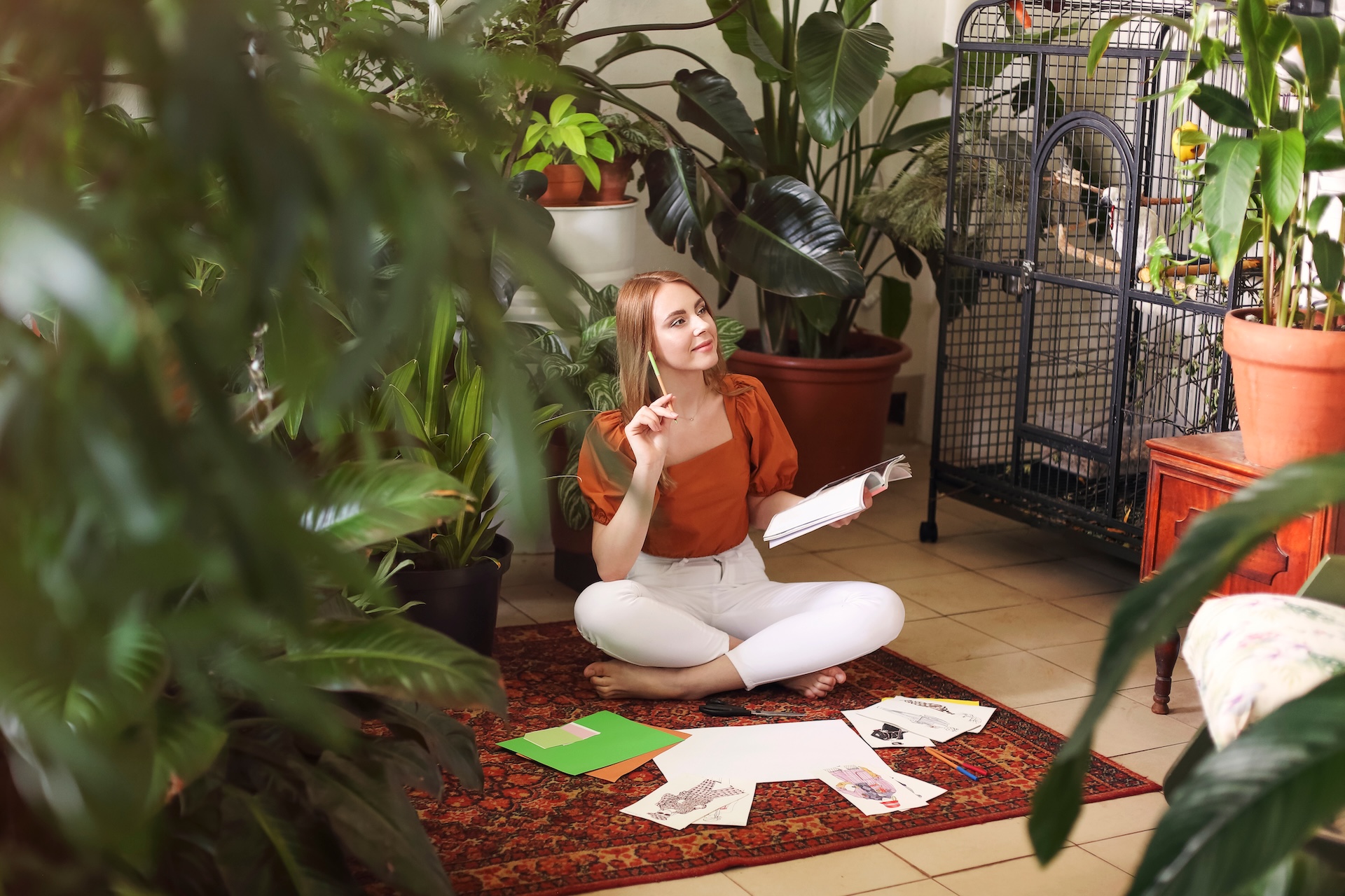 fengshui_sojove-sviecky