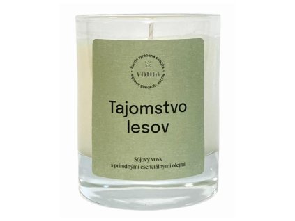 vonia Sójová sviečka Tajomstvo lesov