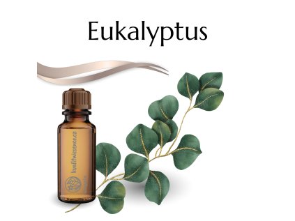 vonný olej Eukalyptus