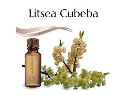 vonný olej Litsea Cubeba