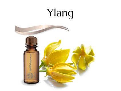 vonný olej Ylang