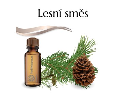 Vonný olej Lesní směs