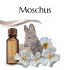 vonný olej Moschus