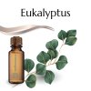 vonný olej Eukalyptus