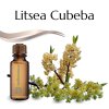 vonný olej Litsea Cubeba