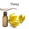 vonný olej Ylang