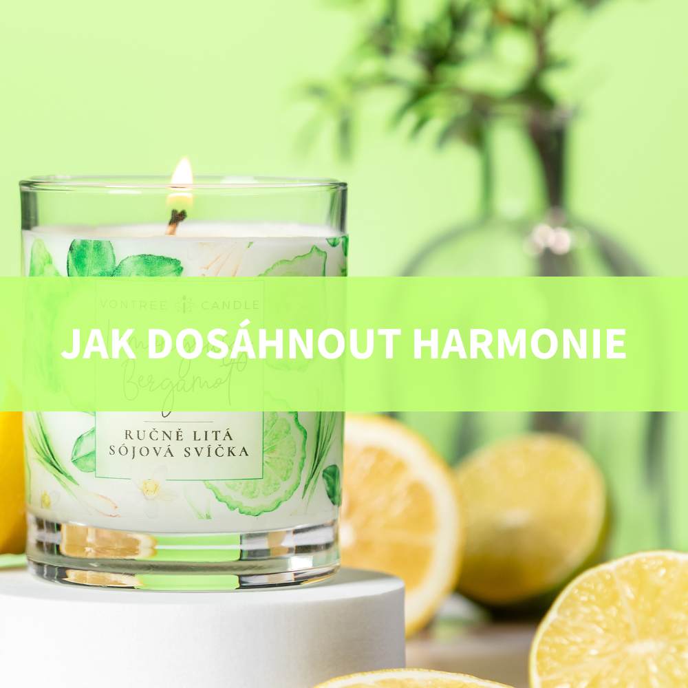 SÓJOVÁ SVÍČKA HARMONIZUJÍCÍ DUŠI