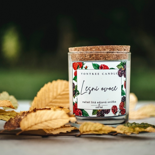 Tip na Vánoční dárek aneb proč vybrat právě svíčky VonTree Candle?