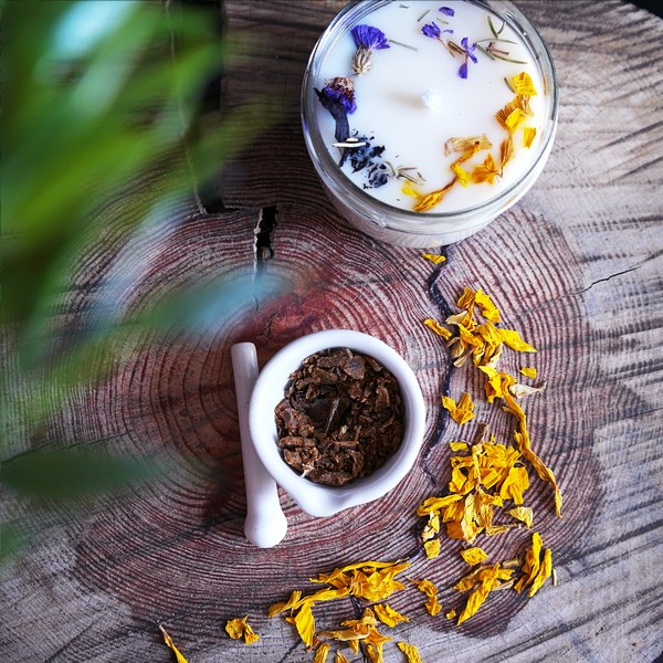 Propolis - zázrak tradiční i moderní medicíny