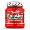 Amix Creatine monohydrate 500 g