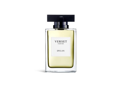 Parfum VERSET Dylan – pánska vôňa, 100ml flakón