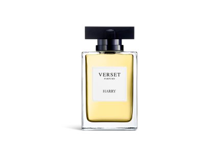 Parfum VERSET Harry – pánska vôňa, 100ml flakón