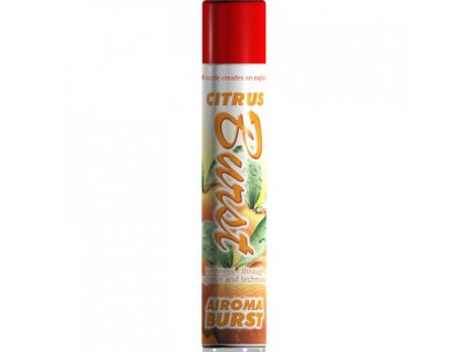 Airoma BURST 750 ml Citrus Burst: ručný sprej na okamžité osvieženie veľkých priestorov