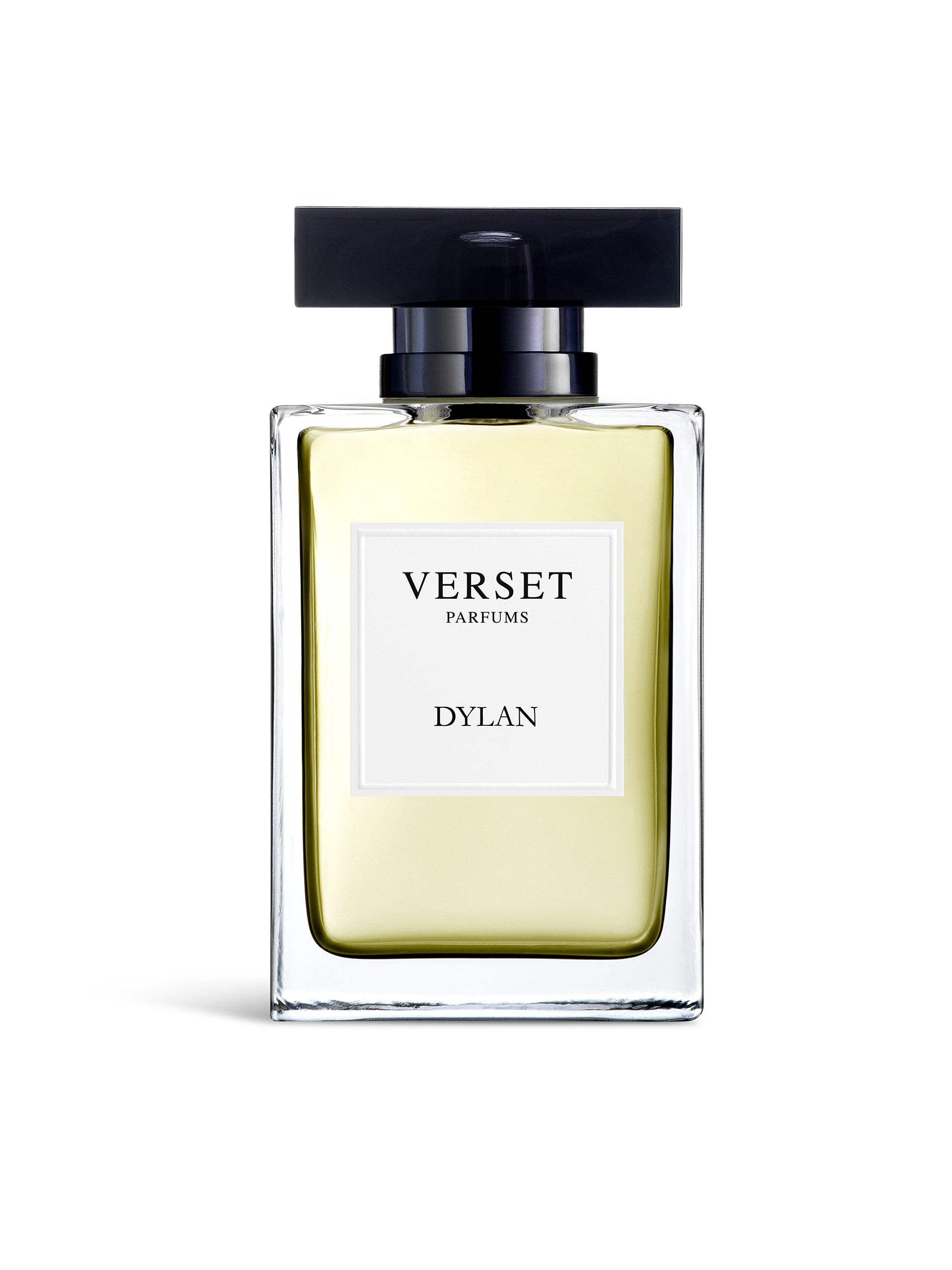 Verset Dylan – parfém inšpirovaný vôňou Bleu de Chanel