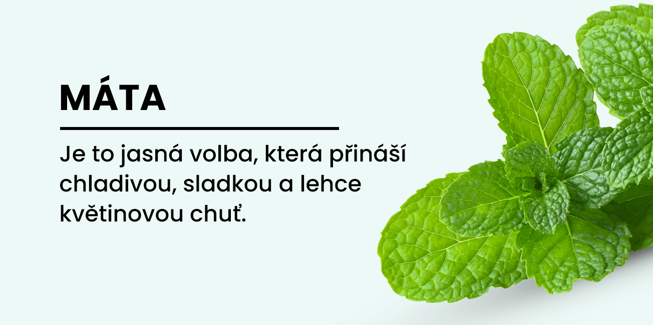 CZ_Mata