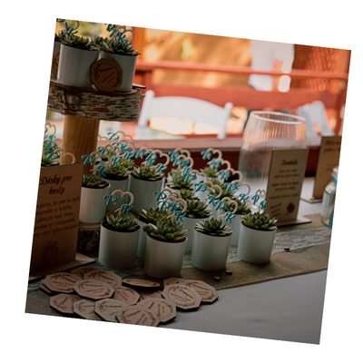 voscut-svatebni-foto