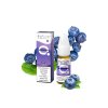 E-LIQUID ELFLIQ SALT - BLUEBERRY (ŠŤAVNATÉ BORŮVKY) 20MG