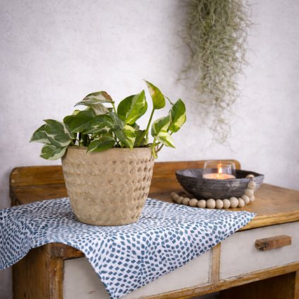 ChatGPT Image 5. 2. 2026 10 19 07