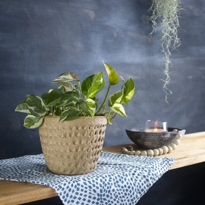 Přírodní květináč