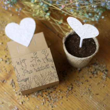 Seedbox rostoucí přání s květináčem