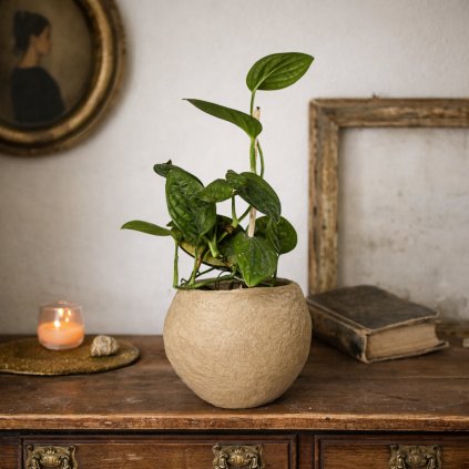 ChatGPT Image 4. 2. 2026 16 07 58