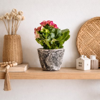 ChatGPT Image 4. 2. 2026 16 11 04