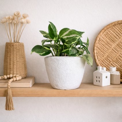 ChatGPT Image 4. 2. 2026 16 15 52