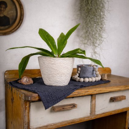 ChatGPT Image 4. 2. 2026 16 20 54