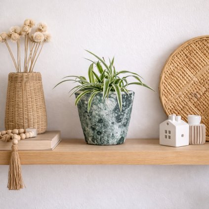 ChatGPT Image 5. 2. 2026 09 25 16