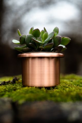 Sukulent v mědi? 🪴 Jo, tohle prostě funguje. ✨ Objednáš na --> vplechu.cz #vplechu #kvetinac #remeslo
