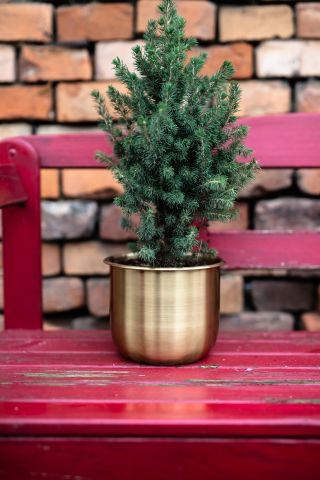 Přejeme vám krásnou první adventní neděli! 🕯🎄 Dnes nás můžete potkat na trzích v Nesvačilce při rozsvícení vánočního...