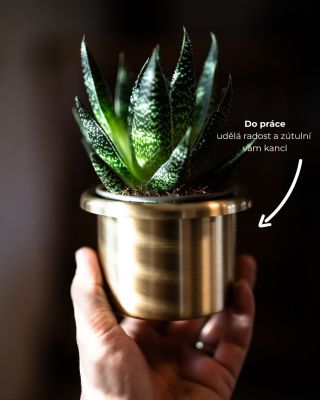 Oblečte Vánoce do plechu! 🪴✨ Tady jsou naše tipy, co z V plechu můžete darovat například kolegům, kamarádům nebo i...