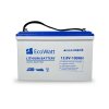 ecowatt batterie lithium led 12v 100ah 2