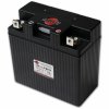 SHORAI Lithium-Iron battery LFX24L3-BS12