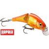 bx jointed shad 06